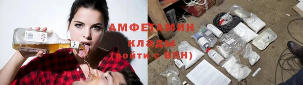 шишки Новозыбков