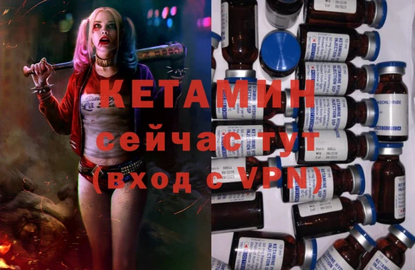 шишки Новозыбков