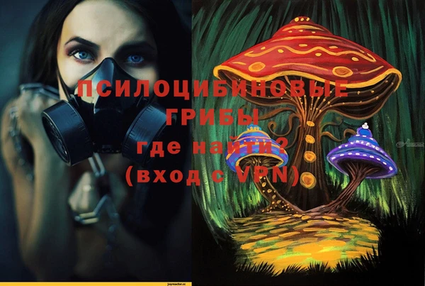 Альфа ПВП Новодвинск