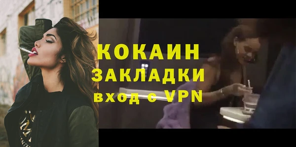 шишки Новозыбков