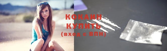 Альфа ПВП Новодвинск