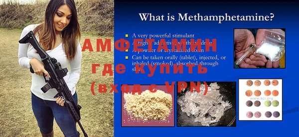 шишки Новозыбков