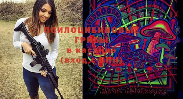 Альфа ПВП Новодвинск