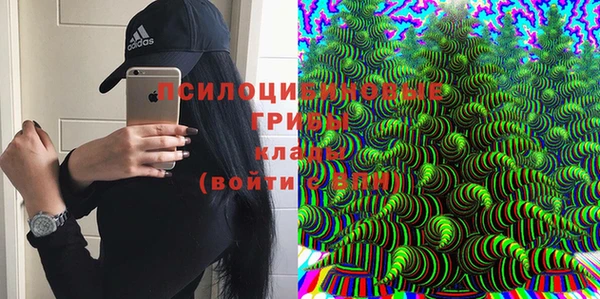 шишки Новозыбков