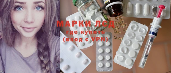 шишки Новозыбков