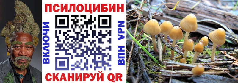 Галлюциногенные грибы мицелий  Купить  Мценск 